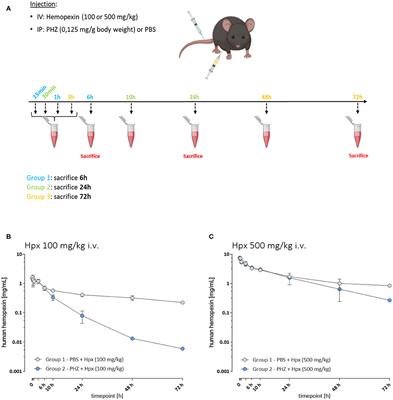 Hemopexin as an Inhibitor of Hemolysis-Induced Complement Activation